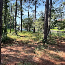 Overwhelmed-by-Overgrowth-We-Can-Help-Miramar-FL 1
